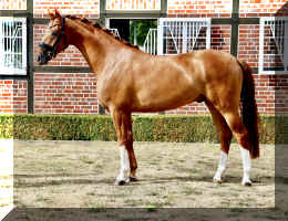 Sky HW stand 5.jpeg (1222257 bytes)