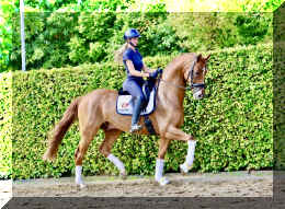 Sky HW trot5.jpeg (1086185 bytes)