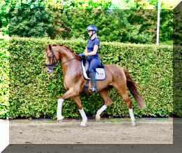 Sky HW trot9.jpeg (997575 bytes)