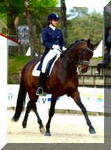 photo 1.JPG (554425 bytes)