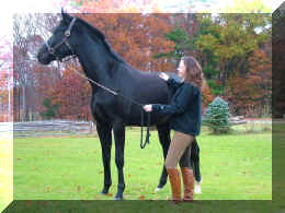 nov-2010-3.JPG (750686 bytes)