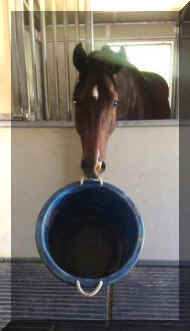 Pic3344.jpg (255758 bytes)