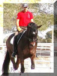 IMG_5936.JPG (124142 bytes)