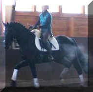 image1.jpeg (10686 bytes)