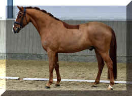 Supertramp HW stand1.jpg (2154866 bytes)