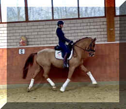 Supertramp HW trot2.jpeg (334450 bytes)