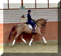 Supertramp HW trot4.jpeg (290969 bytes)