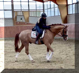 Supertramp HW walk.jpeg (544548 bytes)