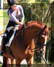 Picture 122.jpg (679690 bytes)