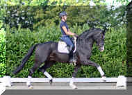 IMG_2046.jpeg (342582 bytes)