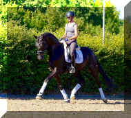 IMG_2047.jpeg (366011 bytes)