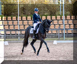 EscaHit HW show trot1.jpeg (428630 bytes)