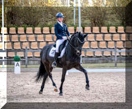 EscaHit HW show trot2.jpeg (414800 bytes)