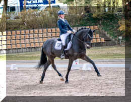 EscaHit HW show trot3.jpeg (474761 bytes)