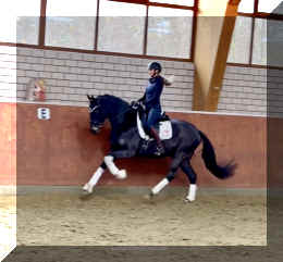 EscaHit canter2.jpeg (190501 bytes)