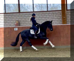 EscaHit canter5.jpeg (180381 bytes)