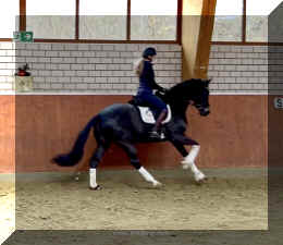 EscaHit canter7.jpeg (217010 bytes)