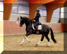 EscaHit canter9.jpeg (236020 bytes)