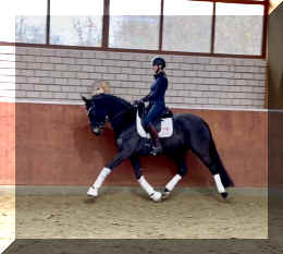 EscaHit trot7.jpeg (170820 bytes)