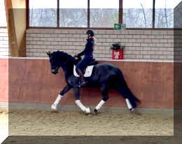 EscaHit trot8.jpeg (215237 bytes)