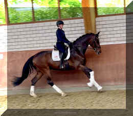 Ferrero HW canter2.jpeg (547450 bytes)