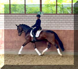 Ferrero HW trot10.jpeg (610074 bytes)