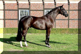 Simply Black HW stand6.jpeg (6297911 bytes)