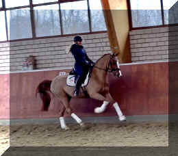 Supertramp HW canter5.jpeg (186596 bytes)