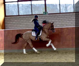 Supertramp HW canter6.jpeg (238639 bytes)