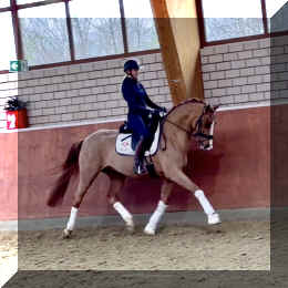 Supertramp HW trot1.jpeg (280277 bytes)