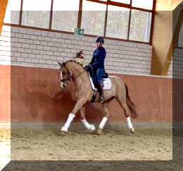 Supertramp HW trot5.jpeg (269263 bytes)