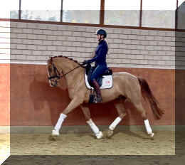 Supertramp HW trot6.jpeg (251653 bytes)