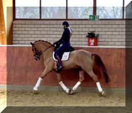 Supertramp HW trot8.jpeg (312353 bytes)