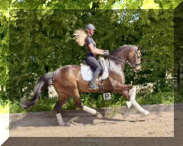 Vito HW canter4.jpeg (707933 bytes)