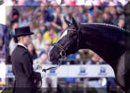 Don Ricoss Bundeschampionat 2006