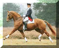 Weltmeyer