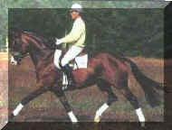 LongChamp_Trot.jpg (43813 bytes)