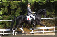Don Index trot1.jpg (350359 bytes)