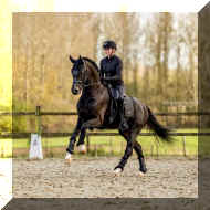 IMG_5679.jpeg (247541 bytes)