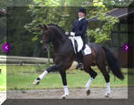 Floresco trot1.jpg (278963 bytes)