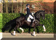 Symphonic _trot1.jpg (492739 bytes)