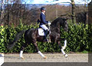 canter1.jpg (474733 bytes)