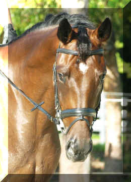 P8154349.JPG (2788761 bytes)