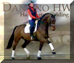 Dantino HW Collage_2.JPG (96581 bytes)
