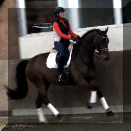 Canter4.jpg (149338 bytes)