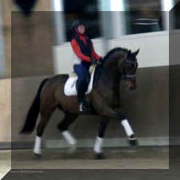 Trot1.jpg (430085 bytes)