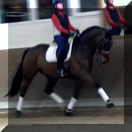 Trot2.jpg (391160 bytes)