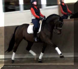 Trot3.jpg (139664 bytes)