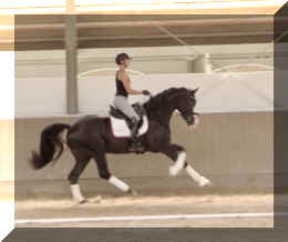 Delight HW canter7.jpeg (208721 bytes)