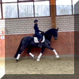 EscaHit HW trot1.jpeg (205860 bytes)